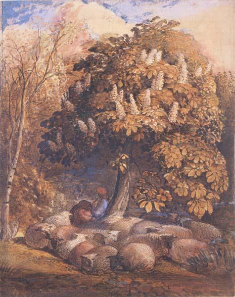Samuel Palmer Pastoral with a Horse Chestnut Tree Germany oil painting art